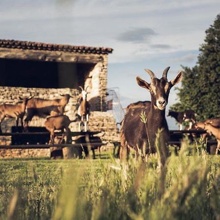 Le Domaine Du Castellas Sivergues Eksteriør bilde